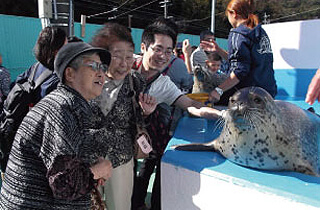 ハイリタイヤー金城