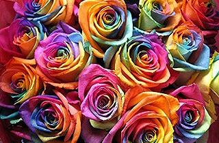 ハイリタイヤー名城