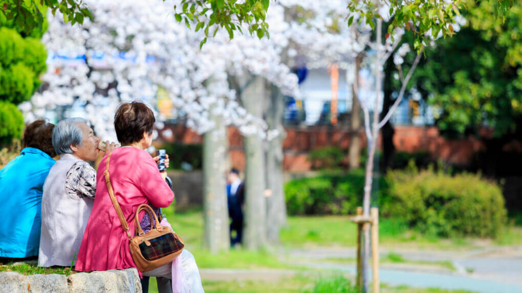 4月 お花見・お菓子作り