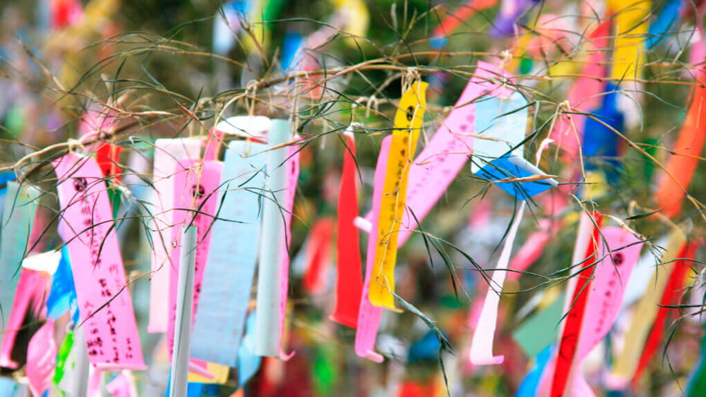 7月 七夕祭り・夏野菜収穫