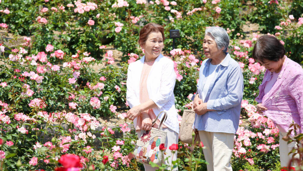 10月 運動会・旅行