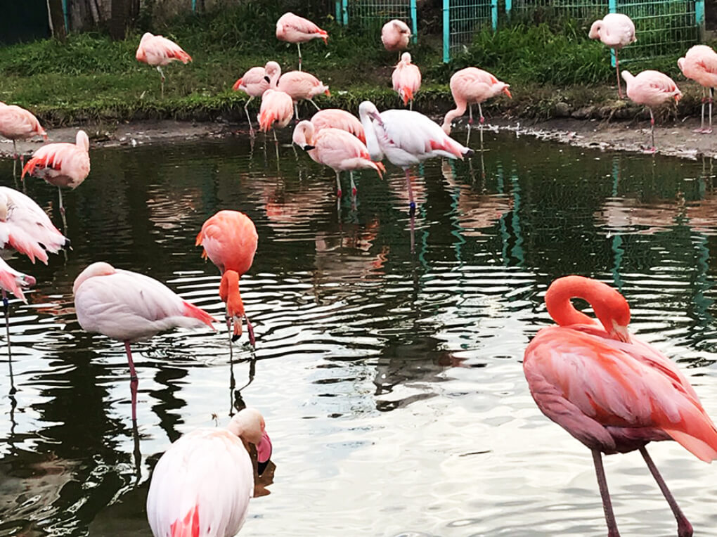 動物とおやつ、楽しい時間は続きます。