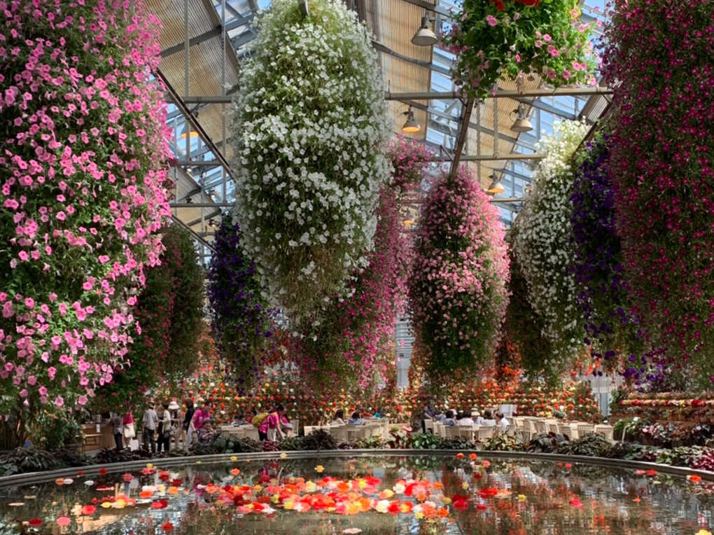 長島「なばなの里」