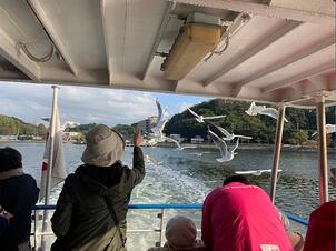 遊覧船_カモメ餌やり_02